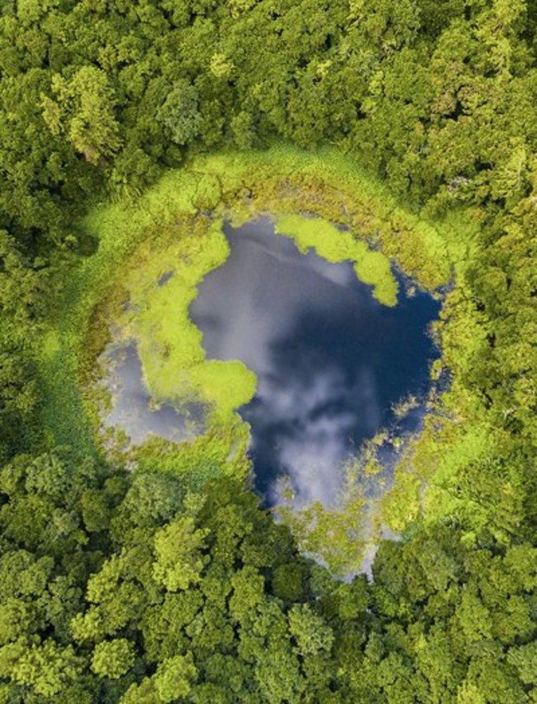 Luftaufnahme eines Sees in Mauritius, umgeben von üppigen Bäumen und grünem Ufer.