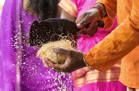Un homme verse de l'eau sur une noix de coco à Maurice, capturant un moment rafraîchissant sous le soleil tropical.