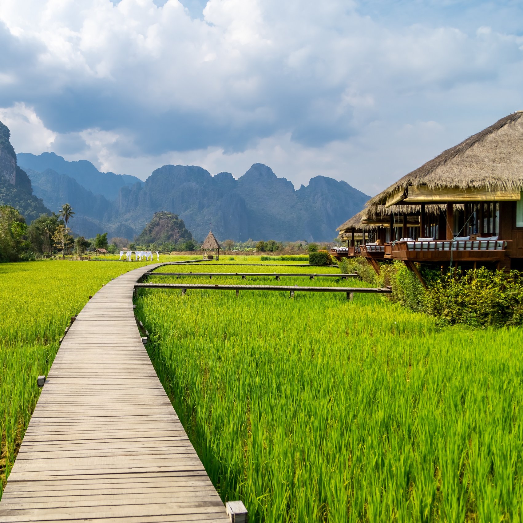 Holzsteg durch Reisterrassen