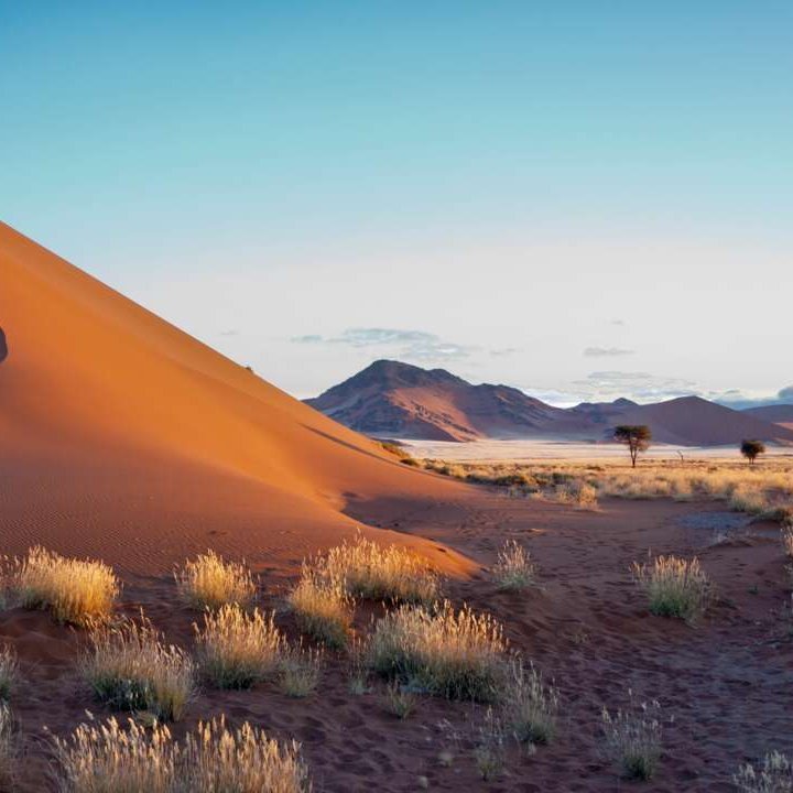 Wüstenlandschaft in Namibia mit sanften Sanddünen und klarem blauen Himmel.