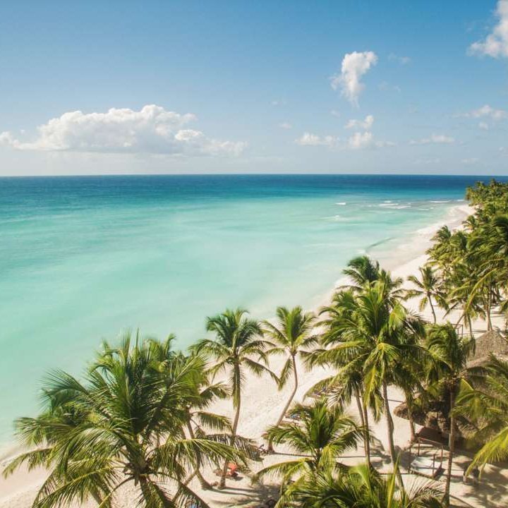 Strand mit Palmen und blauem Wasser in der Dominikanischen Republik.