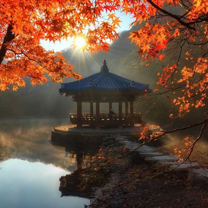 Eine Pagode am Ufer eines Sees, umgeben von bunten Herbstblättern in Südkorea.