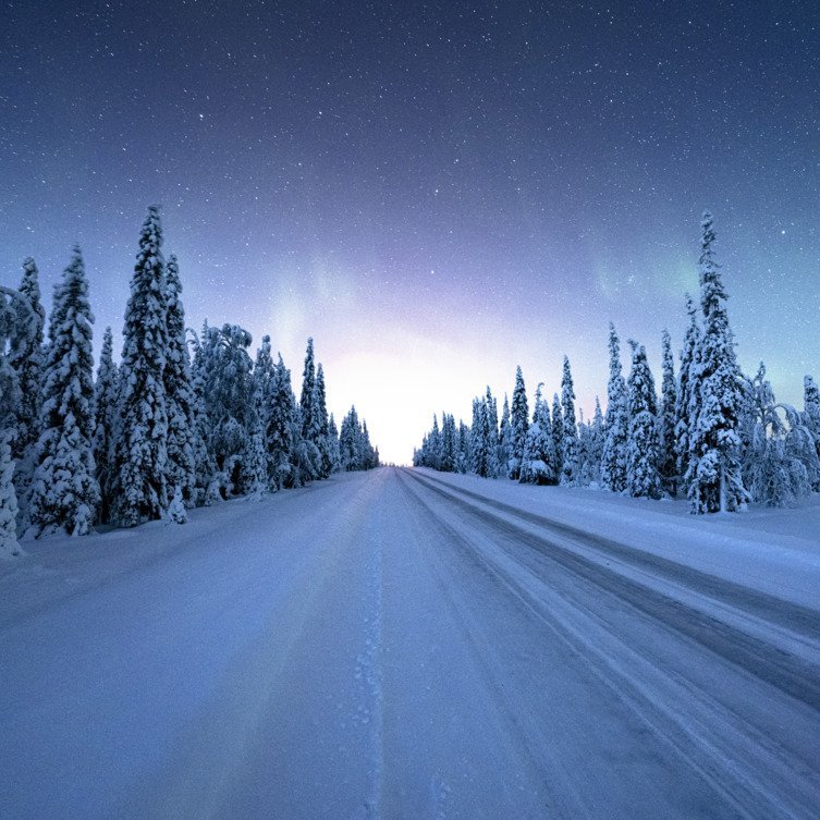 Eine Strasse in einem verschneiten Wald in Finnland, beleuchtet von der beeindruckenden Aurora Borealis am Nachthimmel.
