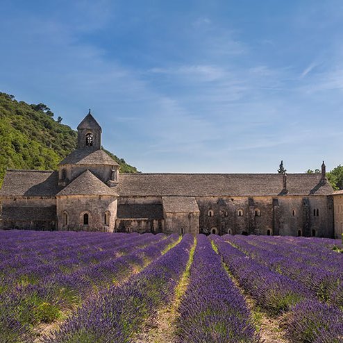 Lavendelfelder in der Landschaft mit einer Kirche im Hintergrund, typisch für die Côte d'Azur.