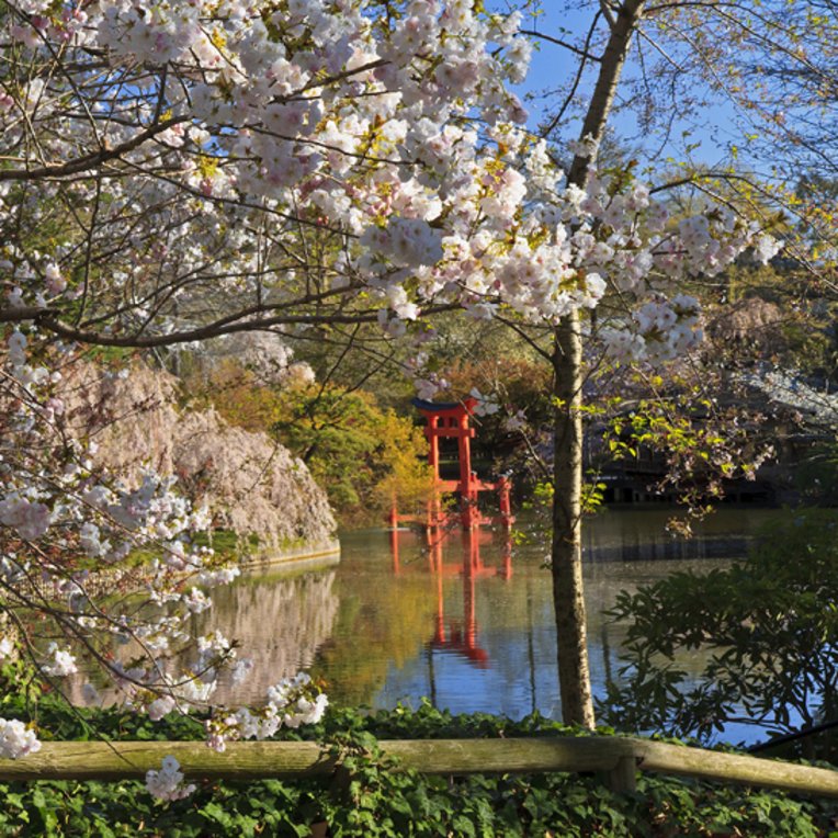 Eine Bank mit einem Baum davor, im Hintergrund die Stadtansicht von NYC.