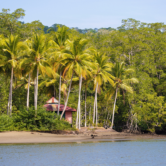 Ein Boot schwimmt im Wasser, umgeben von Palmen in Costa Rica, ein Ort des Naturschutzes.