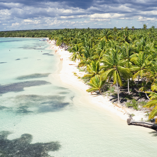 Tropischer Strand auf Isla Saona in der Dominikanischen Republik mit Palmen und weissem Sand.