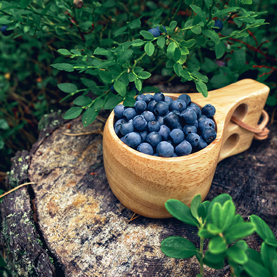 Eine Holzschüssel mit frischen Heidelbeeren, inspiriert von der finnischen nordischen Kulinarik.