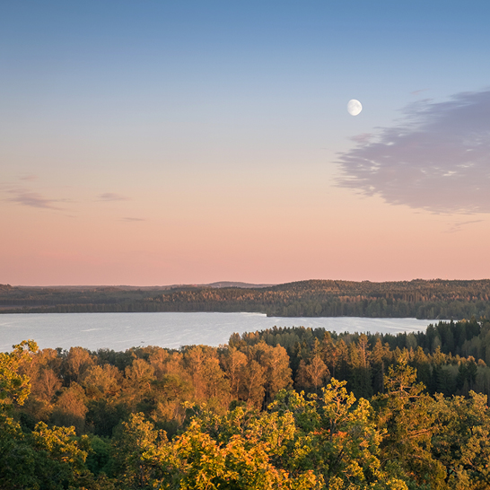  Blick auf den See mit dem Mond über den Bäumen in Finnland, unendliche Weiten und ruhige Natur.