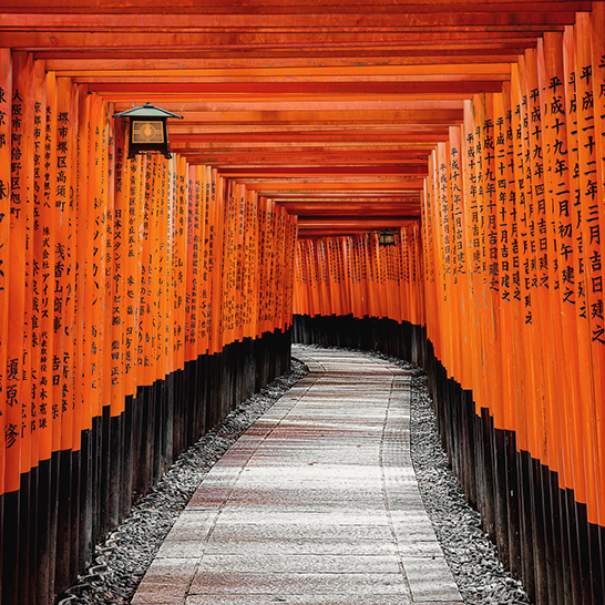 Ein Weg gesäumt von orangefarbenen Torii-Toren im Fushimi Inari Taisha, Japan.
