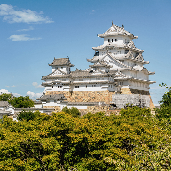 Grosses weisses Schloss mit einem Turm, Himeji Castle in Japan, umgeben von Bäumen und einem klaren blauen Himmel.