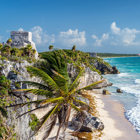 Strand mit Palmen und einer felsigen Klippe in der Yucatan-Region.