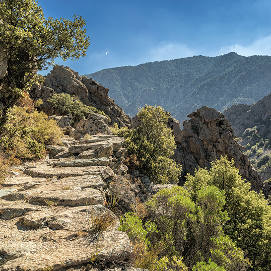 Ein Pfad schlängelt sich zu einem Berg, mit einem großen Felsen am Wegesrand.