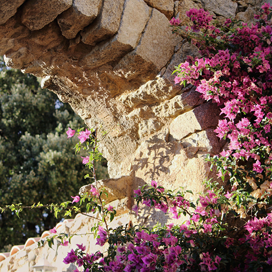 Steinbogen mit blühenden rosa Blumen, die ihn umrahmen und eine romantische Atmosphäre schaffen.