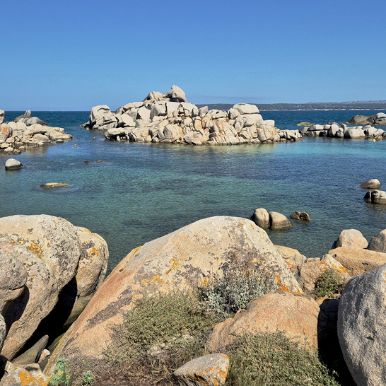 Weites Wasser mit umgebenden Steinen und grünen Pflanzen.