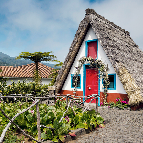 Ein charmantes Haus mit Reetdach und einer hohen Palme im Vordergrund.