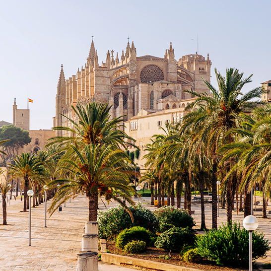 Grosses Gebäude mit einem Uhrturm im Hintergrund, typisch für die Architektur auf Mallorca.