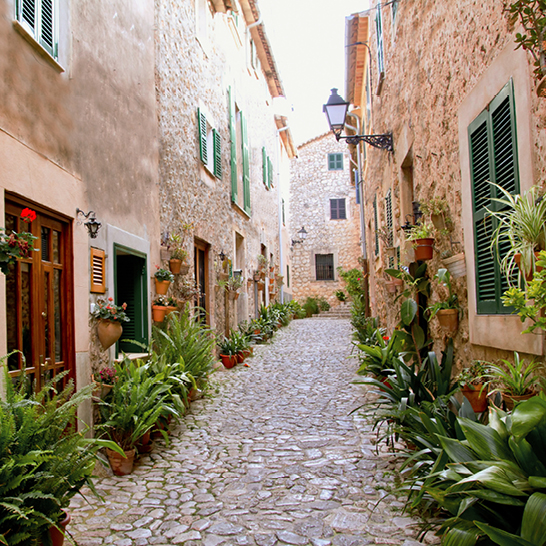 Enge Kopfsteinpflasterstrasse in Valldemosa, gesäumt von Pflanzen und charmanten Gebäuden.