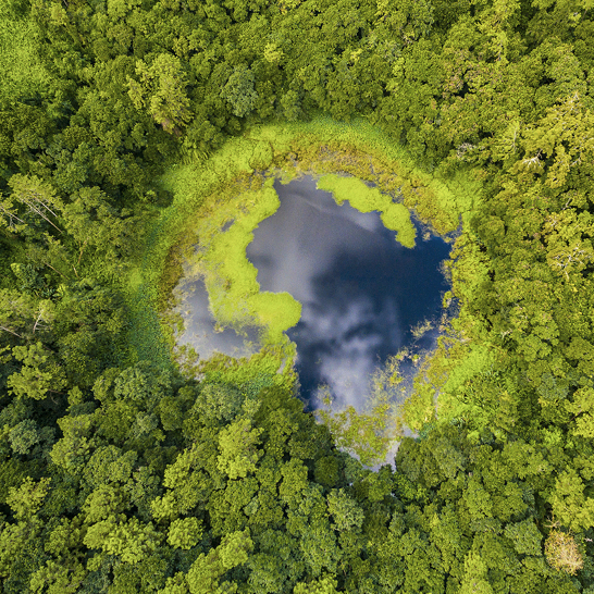Vue aérienne d'un lac entouré d'arbres sur l'île Maurice, mettant en valeur la beauté naturelle de la région.
