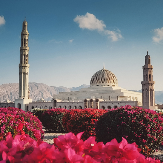Wunderschöne Moschee in Maskat, Oman, umgeben von pinken Blumen im Vordergrund.