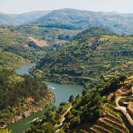 Ein Fluss fließt durch ein malerisches Tal, umgeben von sanften Hügeln und üppigem Grün.