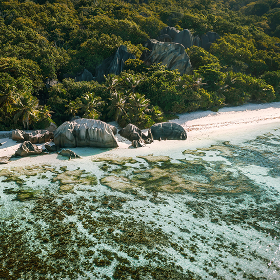Plage des Seychelles, ornée de rochers et d'arbres, créant un cadre idyllique.