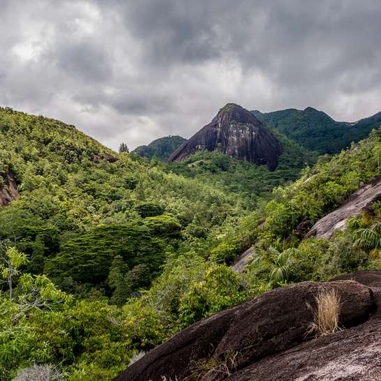 Vue des montagnes des Seychelles entourées d'une végétation luxuriante et verdoyante.