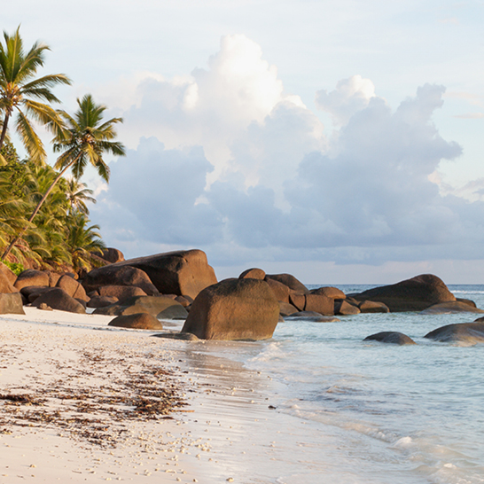 Plage des Seychelles, ornée de rochers et de palmiers, créant une ambiance paradisiaque.