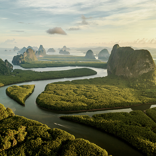 Une rivière serpentant à travers une forêt verdoyante en Thaïlande.