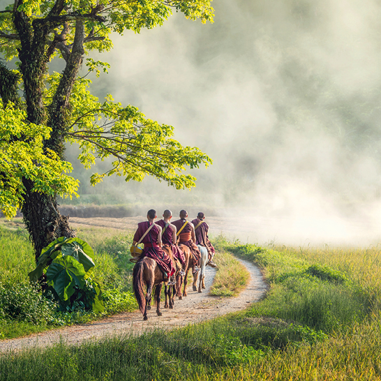 Un groupe de personnes à cheval sur un chemin de terre à Chiang Rai.