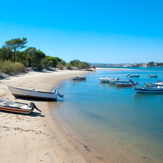 Ein sonniger Sandstrand in Tavira, umgeben von sanften Wellen und klarem Himmel.