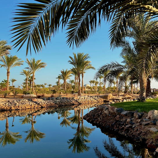 Ein Kanal mit Palmen und Gras im Hintergrund, aufgenommen in Hurghada Soma Bay.