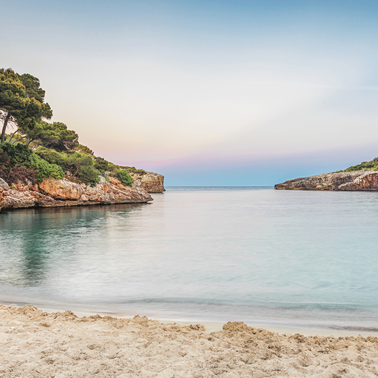 Sandstrand mit Wasser und Bäumen in Cala d'Or, Mallorca.