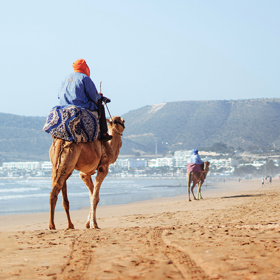 Beduine auf einem Kamel am Hauptstrand von Agadir, Marokko.