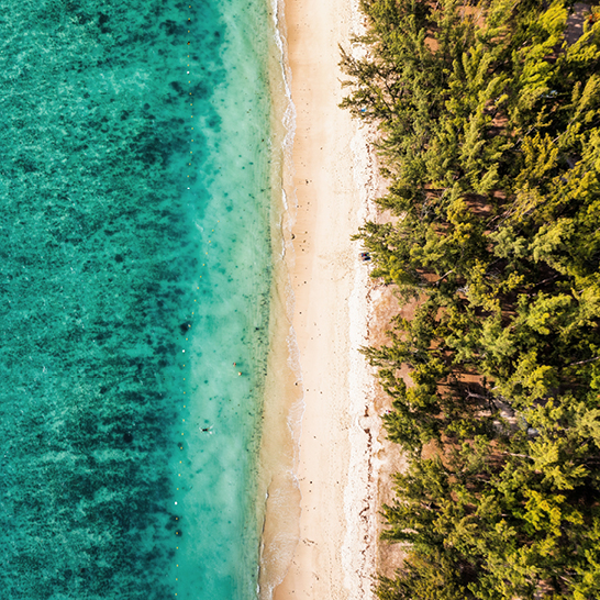 Une des plus belle plage tropicale. Flic en Flac, sur l'île Maurice.
