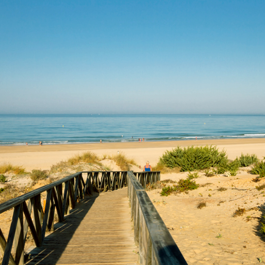Playa de la Barrosa bei Novo Sancti Petri, Costa de la Luz, Spanien.