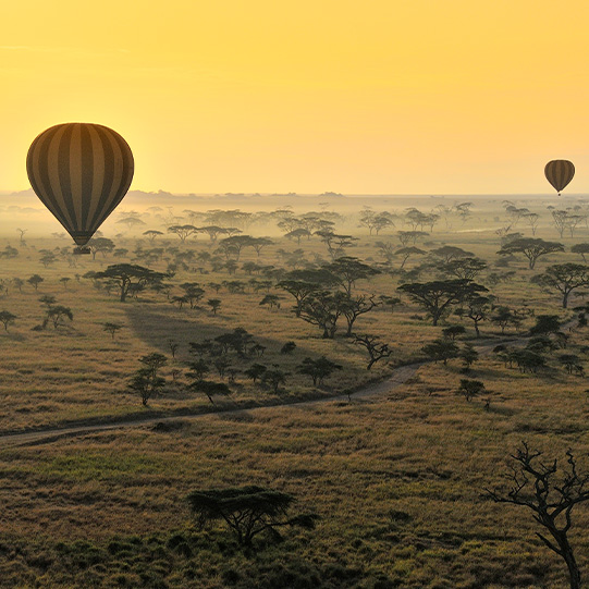 Ballonfahrt über Kenias Savanne