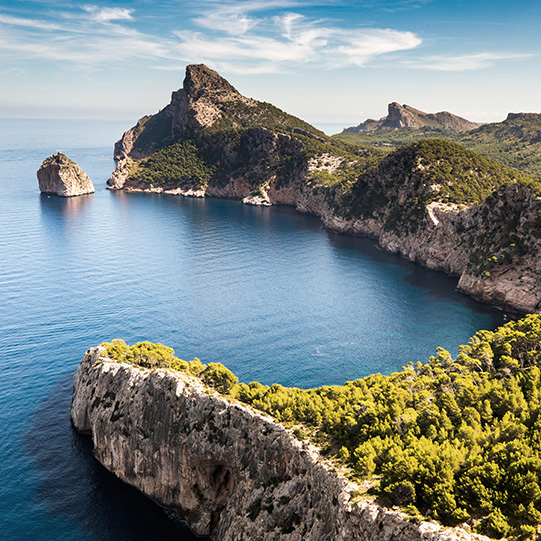 Traumhafte Buchen in Mallorca.